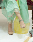 Gulnaaz Yoke Back Pleat Kurta Set