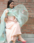 Gulnaaz Back Pleat Kurta Set