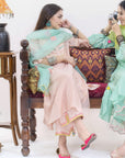 Gulnaaz Back Pleat Kurta