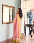 After Hours Nude Pink Organza Saree Set