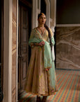 Fariba Pastel Pink Printed Tissue Anarkali Set