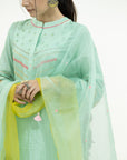 Gulnaaz Yoke Back Pleat Kurta Set