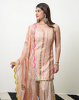 Khel Nude Pink Embroidered Gharara Set