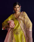 Mastani Yellow Tissue Jaal Gharara Set