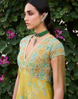 Retro Raani Yellow Sage Tissue Anarkali