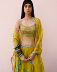 Meher Taluja Retro Raani Yellow Sage Lehenga Set