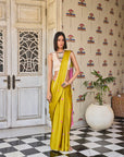 Retro Raani Multicolor Embroidered Saree Set