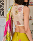 Retro Raani Multicolor Embroidered Saree Set