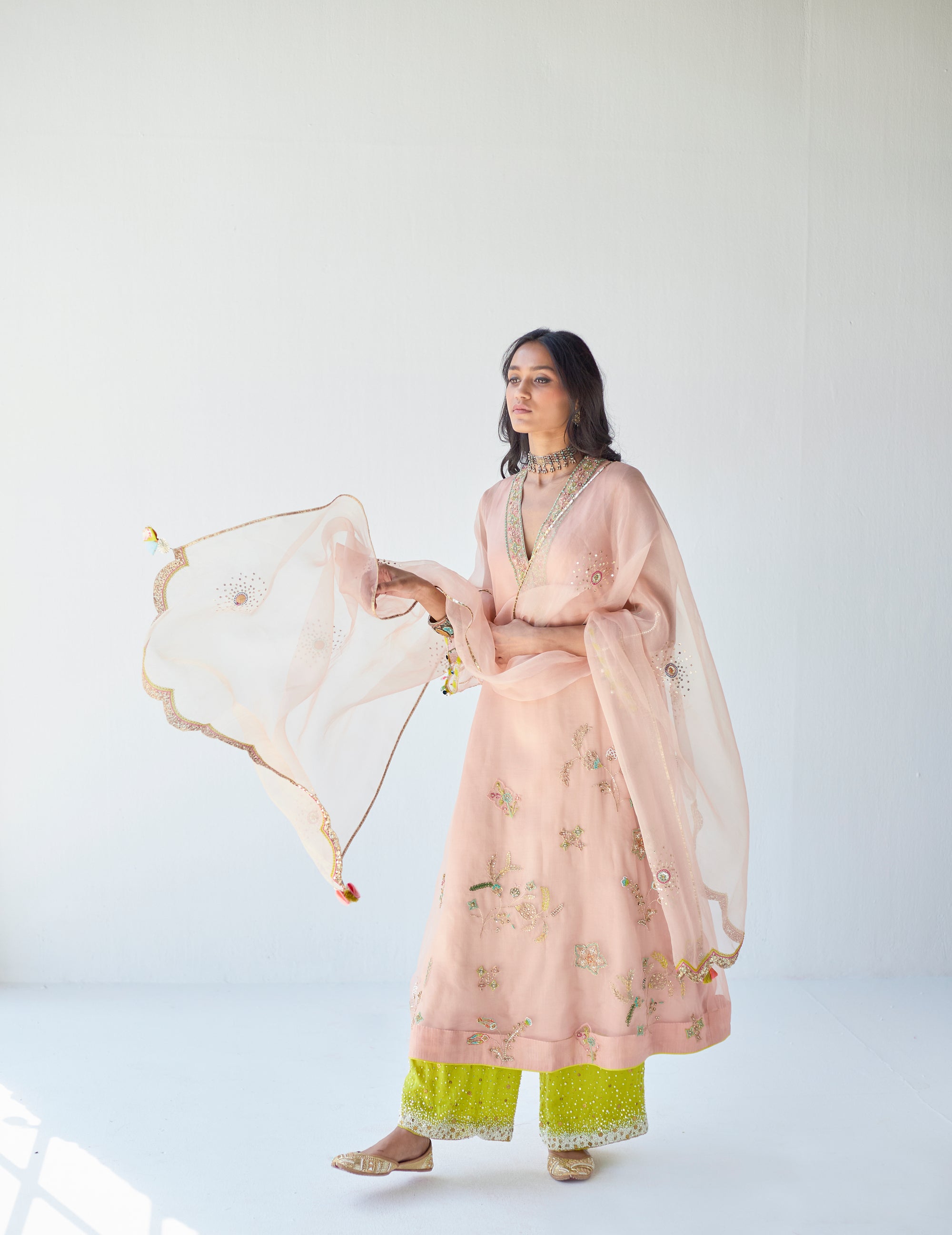 Pastel Pink Jaal Organza Kurta Set