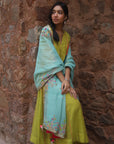 Nazneen Powder Blue Tissue Chanderi Embroidered Dupatta