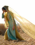 Heeriye Powder Blue Sharara Set