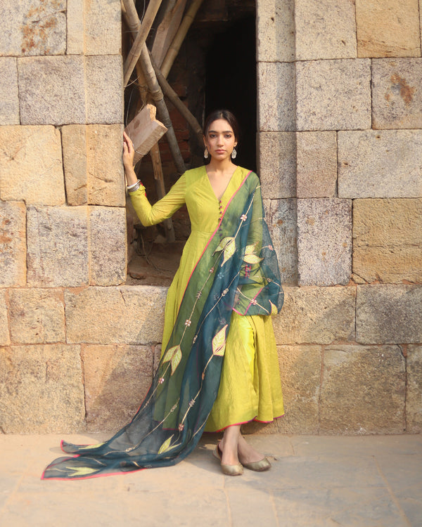 Nazneen Green Anarkali Set
