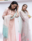 Gulnaaz Pastel Pink - Powder blue Panel Dupatta