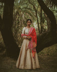 Heeriye Red Odhini Tissue Lehenga