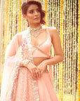 Pastel Pink Organza Lehenga