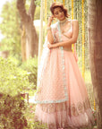 Pastel Pink Organza Lehenga