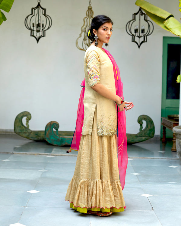 Firdaus Beige Hot Pink Gharara Set