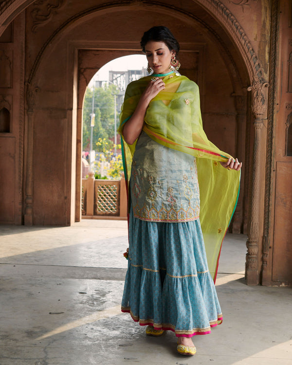 Zahra Ice Blue Payala Kurta Gharara Set