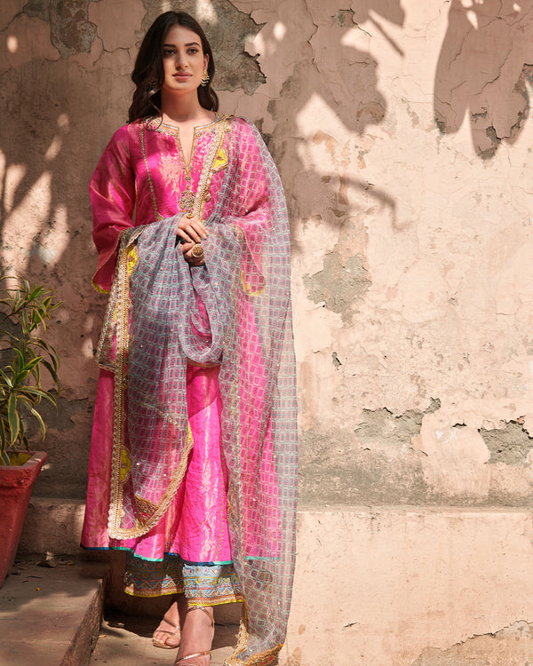 Zahra Printed Powder Blue - Pink Kantika Dupatta