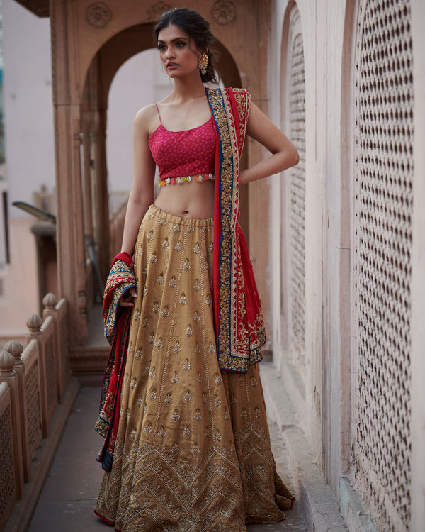 Zahra Antique golden-Jester Red Lehenga