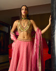 After Hours Pink Mirror Work Blouse With Printed Organza Lehenga Set