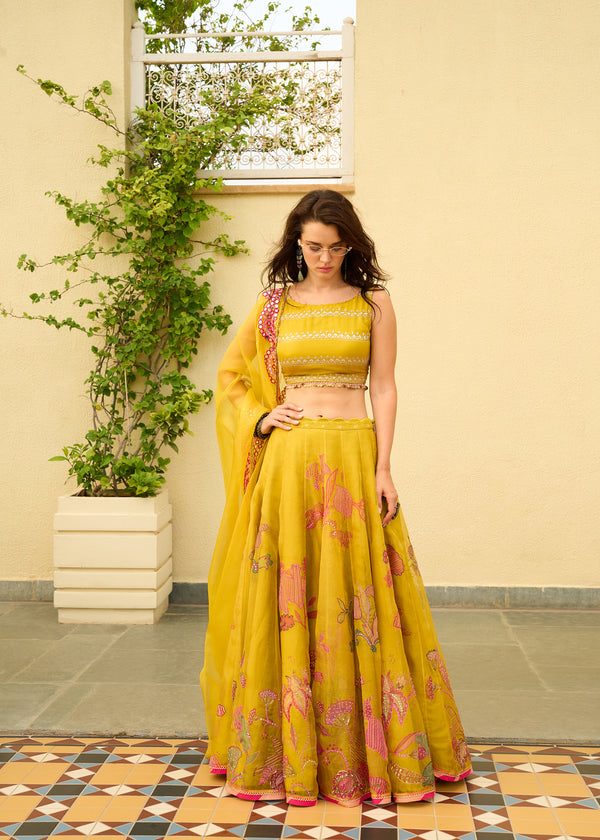 After Hours Yellow Embroidered Organza Lehenga Set