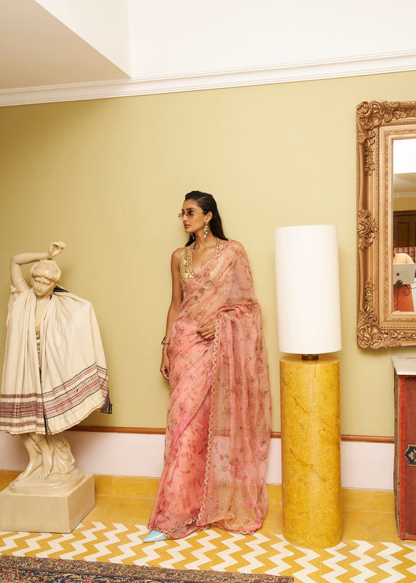 After Hours Embroidered Nude Pink Printed Organza Saree Set