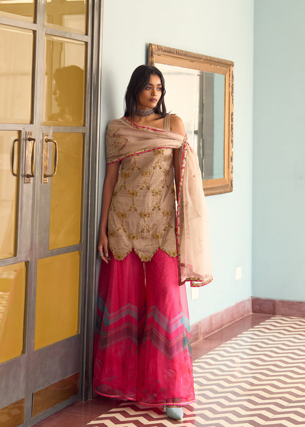 After Hours Embroidered Beige Tissue Sharara Set