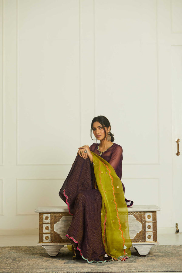 Purple - Green Organza Payala Gharara Set