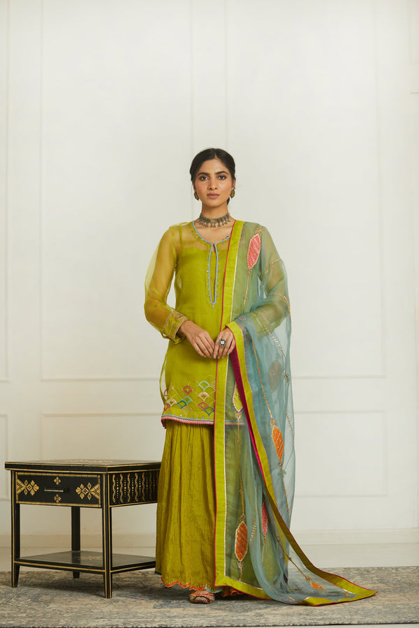 Powder Blue Organza Patch Dupatta