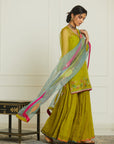 Green Organza Payala Gharara Set