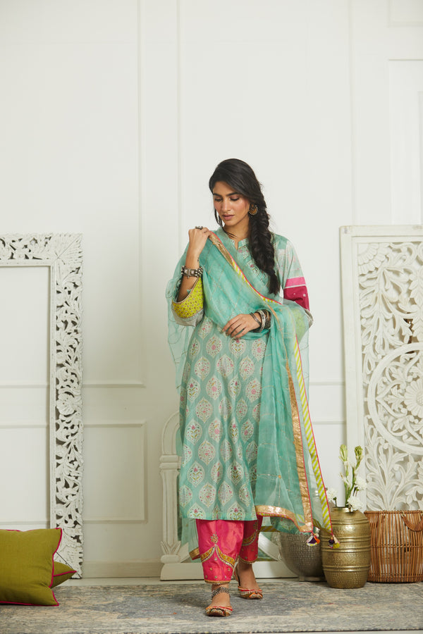 Mehzabeen Powder Blue Printed Silk Back Pleat Kurta Set