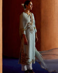 Mastani Powder Blue Organza Kurta Set
