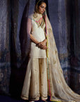 Mastani Ivory Tissue Tripti Gharara Set