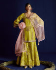 Mastani Yellow Tissue Jaal Gharara Set