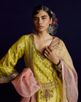 Mastani Yellow Tissue Jaal Gharara Set