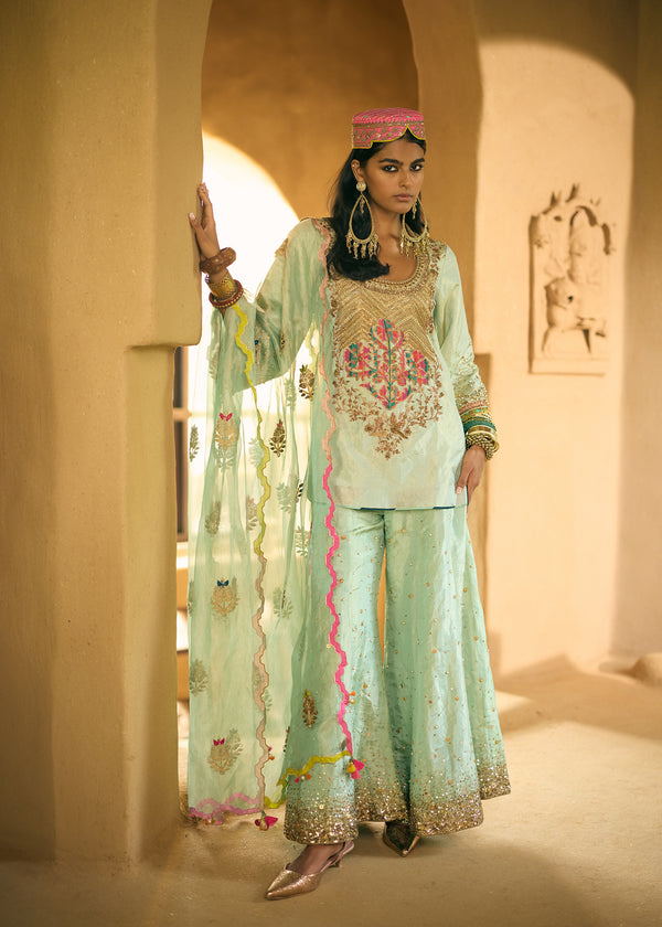 Nisbat Powder Blue Tissue Yoke Boota Sharara Set