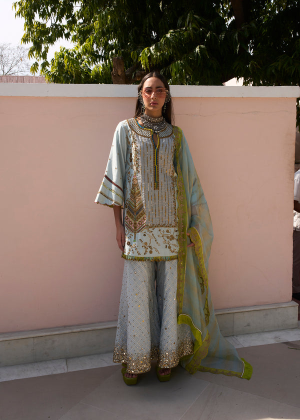 Retro Raani Sky Blue Tree Sharara Set