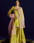 Mastani Yellow Tissue Jaal Gharara Set