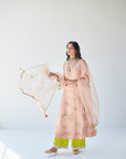 Pastel Pink Jaal Organza Kurta Set