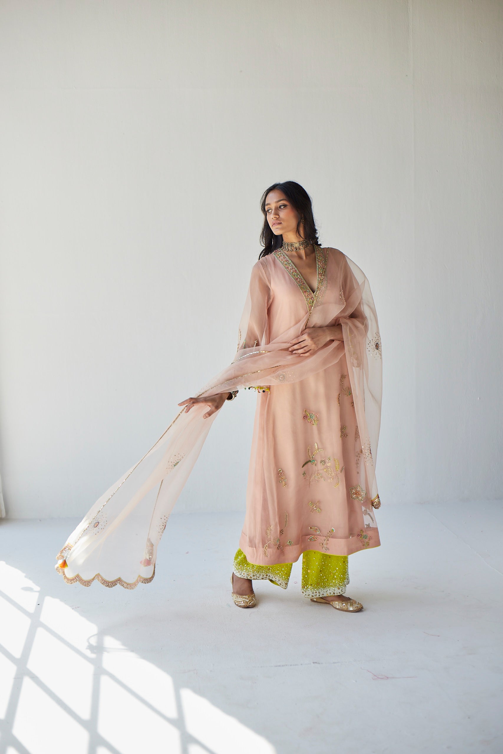 Pastel Pink Jaal Kreethy Suresh Organza Kurta Set