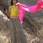 Crop Top with Checkered Skirt